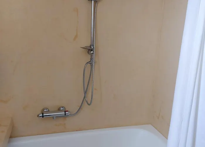 Mangano فيلة أفانتو