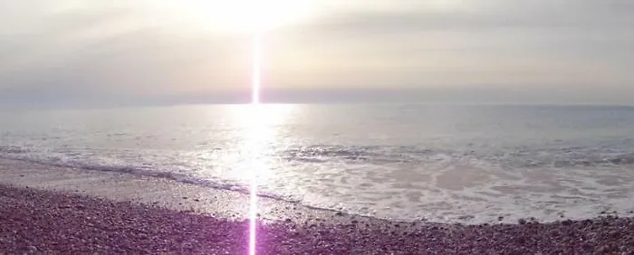 Mangano فيلة أفانتو